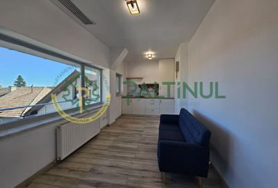 Birou, de 602 mp, în Calea Poplăcii - 13