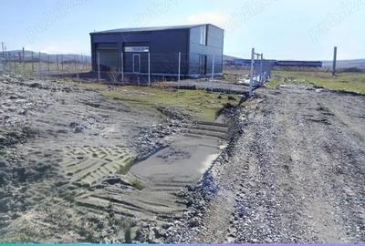 Teren de 2500 mp, în Valea Lupului - 2