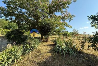 Casa + teren de vanzare - Zona Garcina - 5