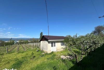 Teren de 3000 mp, în Fundeni - 6