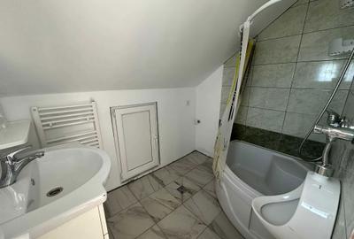 Casă cu 2 camere în Viișoara - 8