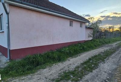 Casă cu 2 camere cu Teren 1900 Mp în Copăcel - 4