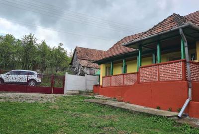 Casă cu 3 camere în Unirea - 1