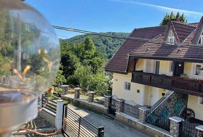 Casă cu 4 camere în Văliug - 3