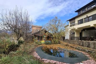 Daesti, jud. Valcea - 11