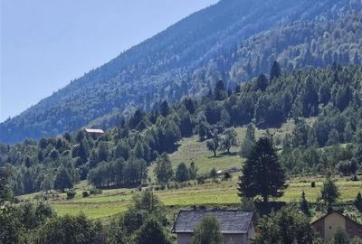 Teren intravilan, 21.000 mp, Zona Intre Barse, spre Plaiul Foii, Zarnesti - 5