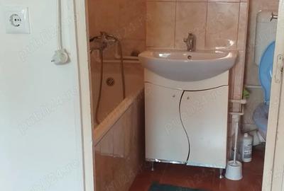 Proprietar, inchiriez ap.1 cam in Gojdu (Zamfirescu) - 9