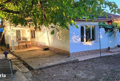 Casă cu 3 camere în Pestișu Mic - 7