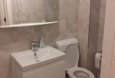 Garsonieră semidecomandată în Dumbrăvița - 8