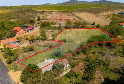 Mini?- destina?ia ideala pentru o resedin?a de lux ?... - 2