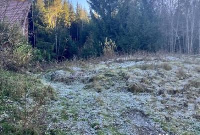 Teren de 19984 mp, în Mănăstirea Humorului - 5