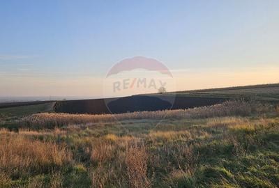 Teren extravilan 30077mp Stroiesti / Soseaua DN17, Suceava - 2