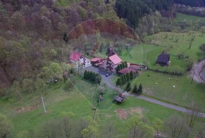 Hotel/Pensiune, de 719 mp, în Scrind-Frăsinet - 31