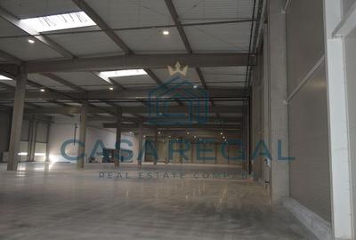 Hală industrială 7100mp – locație strategică - Biharia - zona metropolitană - 22