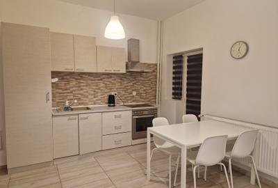 Peste drum de promenada râului Bega-cu vedere deschisa spre Parcul Catedralei - 6