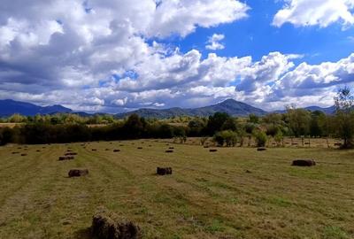 Teren cu suprafata generoasa in zona pitoreasca - Bran Sohodol - 3