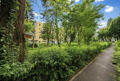 Apartament cu 2 camere semidecomandat, mobilat în Gemenii - 12