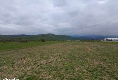 Teren de 7000 mp, în Central - 3