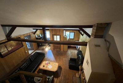 Casa-langa studiourile Buftea, 2 constructii, curte cu pomi, 2500mp, langa lac - 23