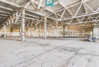 Centru Logistic – Platformă Industrială Oradea - 25