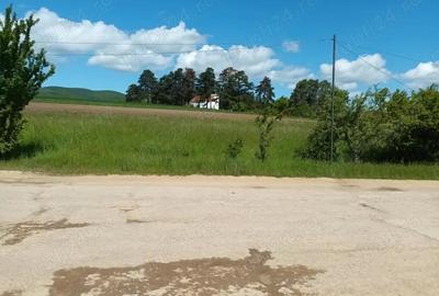 Teren de 2200 mp, în Valea Crișului - 1