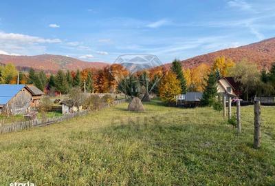Teren de 2300 mp, în Valea Doftanei