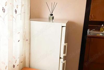 Garsonieră semidecomandată în Calea Severinului - 2