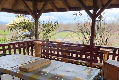 Casă cu 1 camere cu Teren 3000 Mp în Satulung - 8