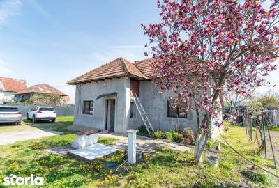 Casă cu 3 camere cu Canalizare în Merișani - 18