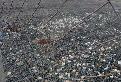 Inchiriez teren centura Arad 1000mp Inchiriez teren centura Arad 1000mp - 1