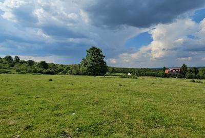 Spațiu comercial, în Viile Satu Mare - 1