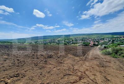 Teren intravilan 500 mp, panorama oras,Tomesti - 4