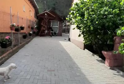 Casă cu 6 camere în Cugir - 3