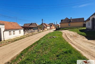Casa de vanzare in com. Micasasa jud. Sibiu - 10