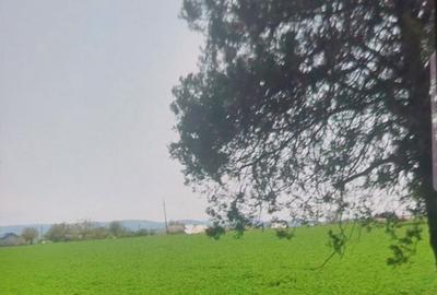 Spațiu comercial, în Orășeni-Deal - 2