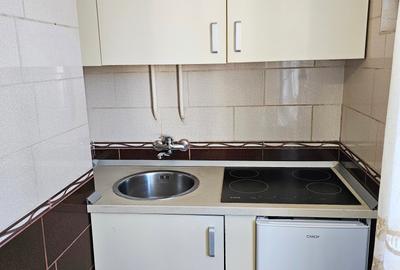 Garsoniera Brancoveanu Garsoniera Brancoveanu - 4