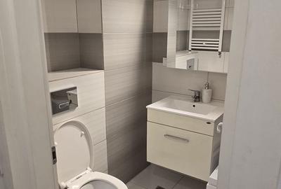 Apartament cu 2 camere semidecomandat în Bucium - 2