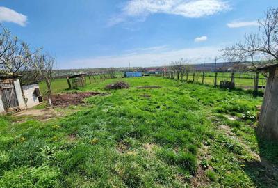 Casă cu 4 camere în Sântandrei - 2