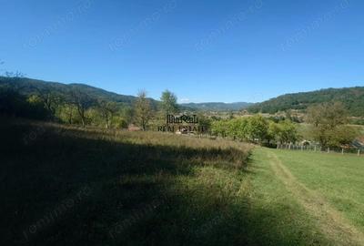 Teren de 56031 mp, în Criș - 2