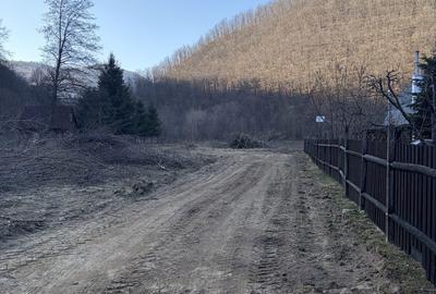 Spațiu comercial, în Central - 5