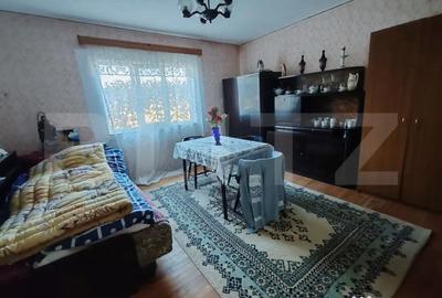 Casă cu 1 camere cu Teren 3000 Mp în Aluniș - 3