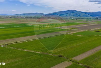 Spațiu comercial, în Lunca Mărcușului - 13