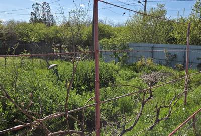 Teren agricol intravilan de 2050 mp, în Valea Măcrișului - 1