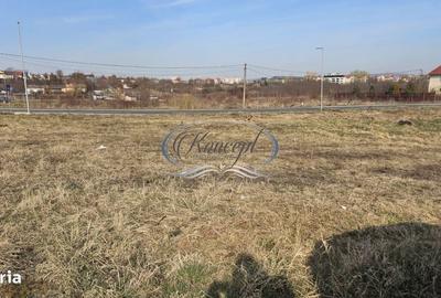 Spațiu comercial, în Bună Ziua - 1