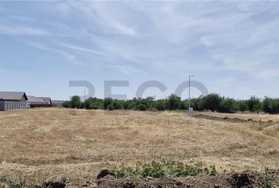 RECO Teren intravilan in Santandrei - 1