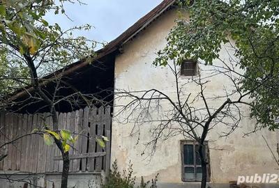 Casă cu 3 camere cu Teren 1543 Mp în Giurgița - 9