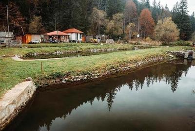 Teren de 3000 mp, în Lunca - 3