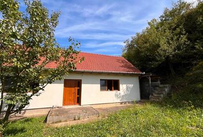 Casa cu teren - 2