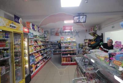 Afacere la Cheie - Spa?iu comercial in Hoghilag Taram... - 10