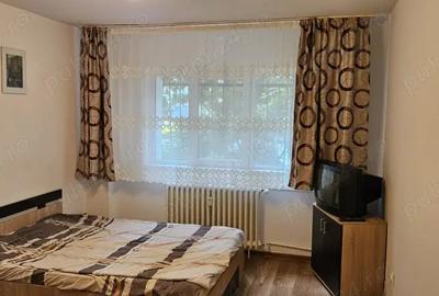 Apartament 2 camere, Banul Manta - 2